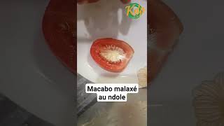 comment faire le macabo malaxé au ndole [upl. by Avrenim]