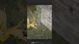 BDO Moment  Black Desert bdo blackdesert funny lina [upl. by Ikceb]