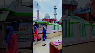 bahraich dargah shareef masha allah love trending dargahmelavlog eidmiladunnabi vlog videostar [upl. by Mok610]