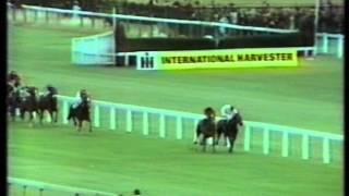 1977 St Leger Stakes [upl. by Ailee]