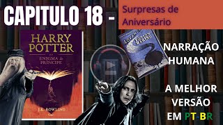 Harry Potter e o Enigma do Príncipe ⚡ CAPITULO 18 Audiolivro em PTBR [upl. by Acissev760]