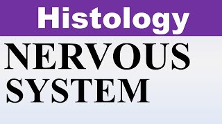 Inderbir Singh Histology Chp10  Histology of NERVOUS SYSTEM  Dr Asif Lectures [upl. by Somerset]