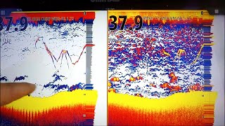 TRANSDUCER COMPARISON TM165 High Wide CHIRP VsB175 Medium CHIRP [upl. by Tracey]