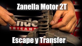 Zanella Ciclomotor Motor 2T Escape y Transfer [upl. by Ttenrag]