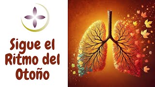 Otoño Tus Pulmones y tu Intestino grueso Deja Ir [upl. by Aniraad]