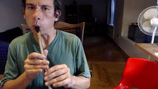 Morrisons Jig  Tin Whistle [upl. by Adnihc]