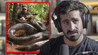 I Survived Eaten Alive by an Anaconda  Paul Rosolie [upl. by Chere]