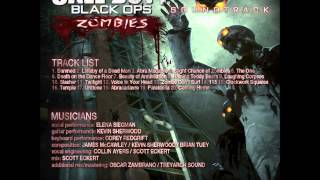 6 Death on the Dance Floor  Treyarch Sound Call of Duty Black Ops [upl. by Limemann28]