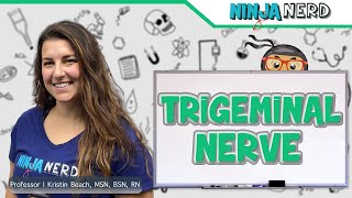 Trigeminal Nerve [upl. by Carrie]