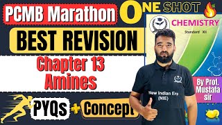 13 ONE SHOT Revision Amines Class 12th Chemistry newindianera [upl. by Skillern]