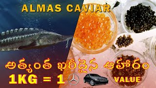 Almas Caviar  Worlds Most Expensive Food [upl. by Naillimixam]