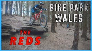 Bike Park Wales  The RED Mtb Trails [upl. by Sakmar61]