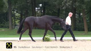 Hanoverian Stallion Licensing and Sales  CatalogNo 95 [upl. by Vladimar]