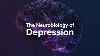 How Depression Affects The Brain  Yale Medicine Explains [upl. by Eimmij]