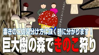 巨大樹の森できのこ狩り！【ゲスいアニメチャンネル】毒きのこの見分け方教えます！ [upl. by Vita]