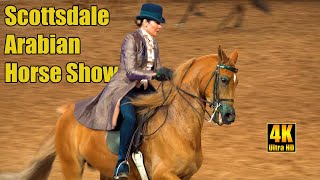 Country English Pleasure 55 at Scottsdale Arabian Horse Show [upl. by Carey710]