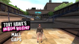 Tony Hawks American Wasteland Mall Gaps [upl. by Platto277]