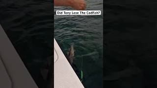 Did Tony lose the codfish fishing fish youtubeshorts funny subscibe like share foryou fyp [upl. by Anasor]