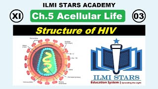 Structure of HIV Class 11 Biology Chapter 5 Acellular Life [upl. by Mw]