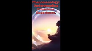 Phenomenology Understanding Conscious Experience Phenomenology HumanExperience Anthropology [upl. by Lechar949]