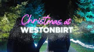 Christmas at Westonbirt 2024 [upl. by Daub]