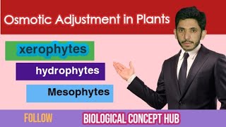 Osmotic adjustment in plants comparison of hydrophytes mesophytes and halophytes First year [upl. by Yerd]