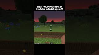 Never again 💀  minecraft minecraftshorts minecraftmemes [upl. by Ayocal]