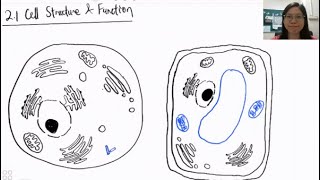 Biology Form 4 Chapter 21 Cell Structure amp Function [upl. by Bigler]