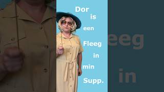 Platt lernen Da ist eine Fliege in meiner Suppe 🪰 sprachenlernen [upl. by Daisie]