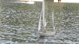 RC Model Albert Strange quotNormaquot sailing on Christian Science Boston Reflecting pool [upl. by Adriena]