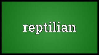 Reptilian Meaning [upl. by Yasnyl]