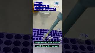 How to pour sample in microtiter plate microtiterplate laboratory microbiology [upl. by Tegirb348]