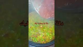 اكسبلور بايلا البلدية [upl. by Saravat]