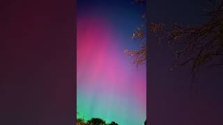 Toledo Ohio 10102024 northernlights auroraborealis [upl. by Arther807]