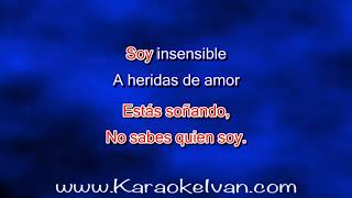 Juan Gabriel  Insensible KARAOKE [upl. by Retsub896]