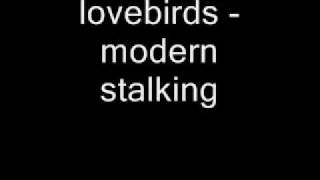 lovebirds  modern stalking [upl. by Arlan]