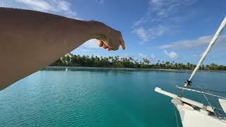 Paradise on our doorstep Going Stern Too Coconut Palms and Coral Beaches [upl. by Schoening]