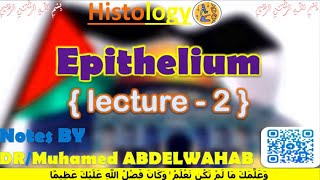 Epithelium  2  Histology  القصر العيني 198 [upl. by Leiahtan]