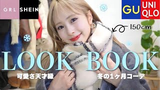 【完全版】可愛すぎる冬コーデたっぷり30選！プチプラ1ヶ月LOOKBOOK☃️ [upl. by Ycrad957]