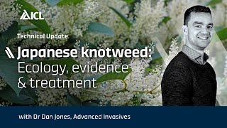 Japanese Knotweed Ecology Evidence amp Treatment [upl. by Ahsenahs]