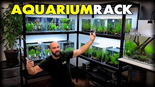 MAKING a NEW AQUARIUM RACK for NANO FISH amp SHRIMP  MD Fish Tanks [upl. by Farrel]