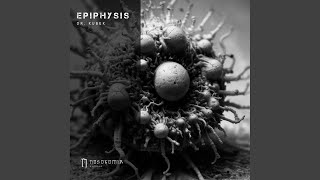 Epiphysis [upl. by Saks]