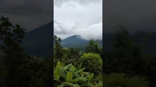 Deko☁️ jungle kitna beautiful 💗hai nature vlog minivlog youtubeshorts [upl. by Pax]