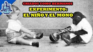 El Terrible Experimento del Niño y el Mono  Bully Magnets  Historia Documental [upl. by Alejoa]