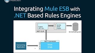 Integrating Mule ESB with NET Based Rules Engines [upl. by Lingwood]