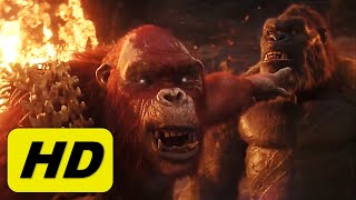 Kong meets Skar King  Full Scene HD  Godzilla x Kong The New Empire [upl. by Zenia]