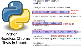 The simplest way to run python headless test with Chrome on Ubuntu [upl. by Chanda590]