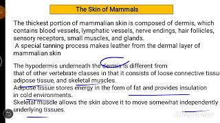 Skin Of Mammals Support and movement in VertebratesChapter 24 [upl. by Ellenwahs]