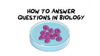 How to answer Questions in Biology [upl. by Cornew74]