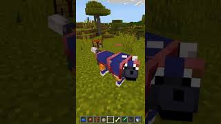 ARMADURAS PARA LOBO EN MINECRAFT minecraft minecrafttutorial [upl. by Limaj]